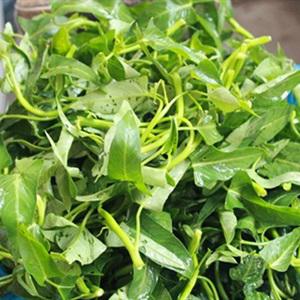 Cách làm gỏi rau muống trộn