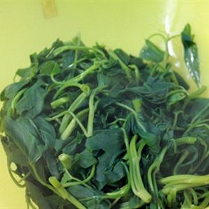 Cách làm gỏi rau muống trộn