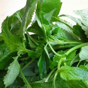 Cách làm gỏi sứa dưa leo