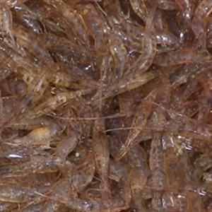 Cách làm gỏi tép