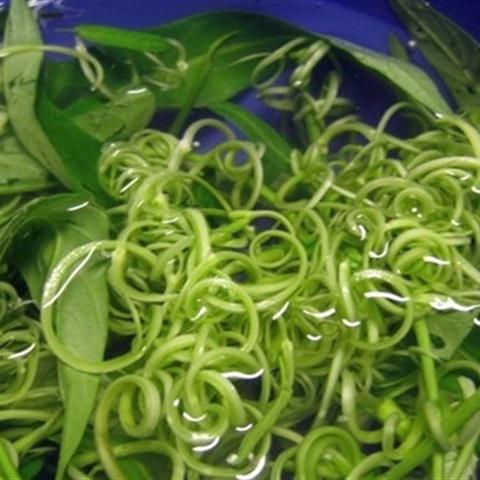 Cách làm gỏi thịt bò rau muống