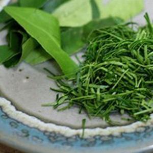 Cách làm gỏi thịt gà rau răm