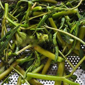 Cách làm gỏi tôm ra nhút