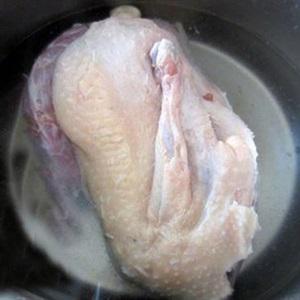 Cách làm gỏi vịt xoài xanh