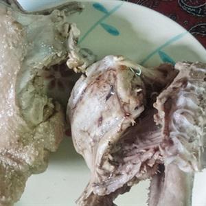 Cách làm gỏi vịt xoài xanh