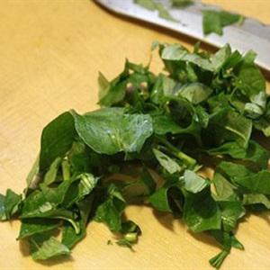 Cách làm gỏi xoài cá trê