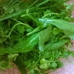 Cách làm gỏi xoài tai heo