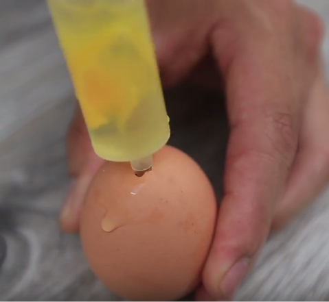 Gừng sữa đông ngon miệng cả 4 mùa