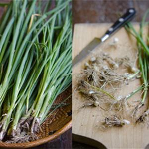 Cách làm hành lá muối kiểu Hàn