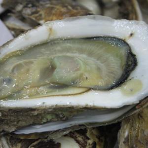 Cách làm hàu nướng phô mai