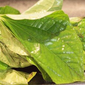 Cách làm hến xào lá lốt