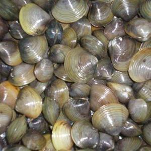 Cách làm hến xào miến