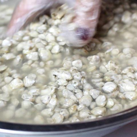 Cách làm hến xúc bánh đa