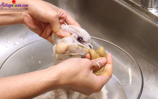 Hướng dẫn làm bạch tuộc xào cay kiểu Hàn ngon tuyệt
