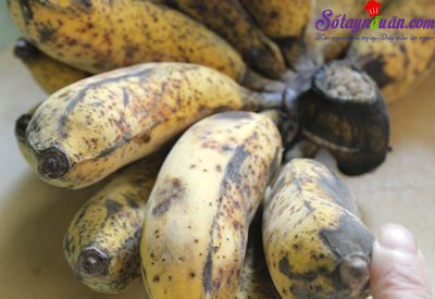 Hướng dẫn làm chè chuối đơn giản mà ngon