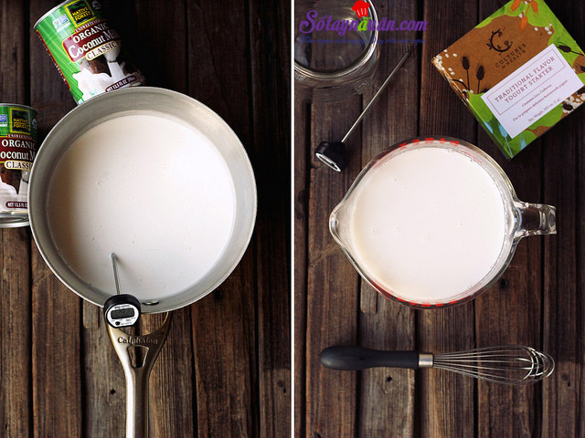 Hướng dẫn làm sữa chua sữa dừa tại nhà