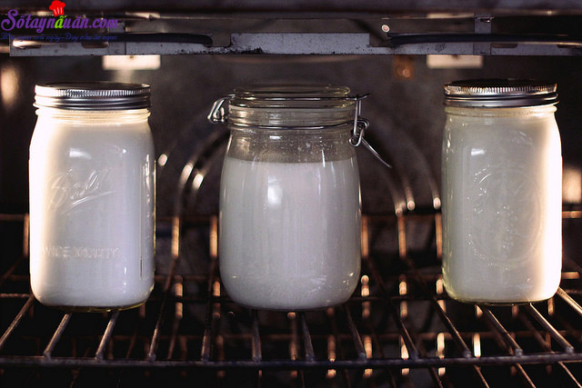 Hướng dẫn làm sữa chua sữa dừa tại nhà