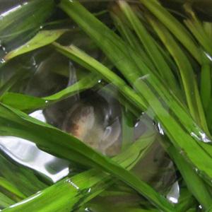 Cách làm kem lá dứa