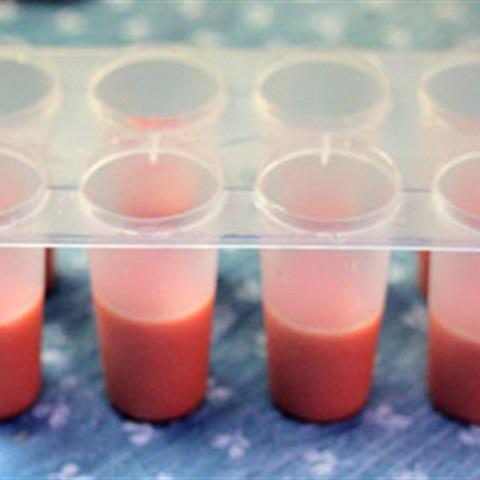 Cách làm kem trái cây