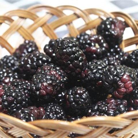 Cách làm kem sữa chua dâu tằm