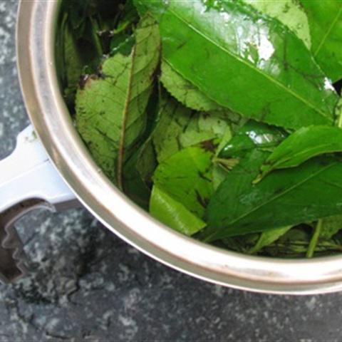 Cách làm kem trà xanh tươi