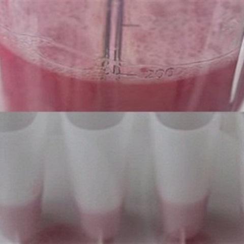 Cách làm kem trái cây ngũ sắc