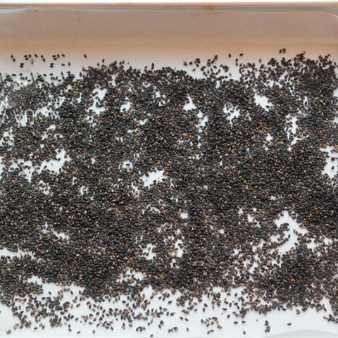 Cách làm kẹo đậu phộng mè đen