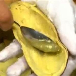 Cách làm khoai lang tẩm mè nướng