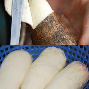 Cách làm khoai mì nấu sữa