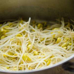 Cách làm kim chi giá đỗ