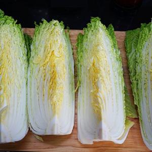 Cách muối kim chi Hàn Quốc