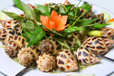 Làm cà ri ốc hương dành cho bà bầu dưỡng thai