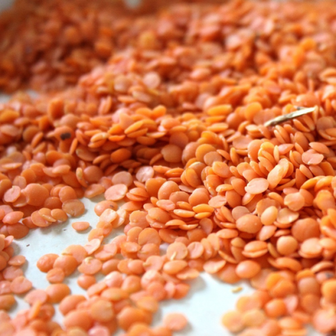 Làm donut chocolate vừa đẹp vừa ngon dễ như chơi