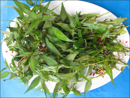 Làm gỏi củ hủ dừa chay thanh đạm ngày rằm tháng tư