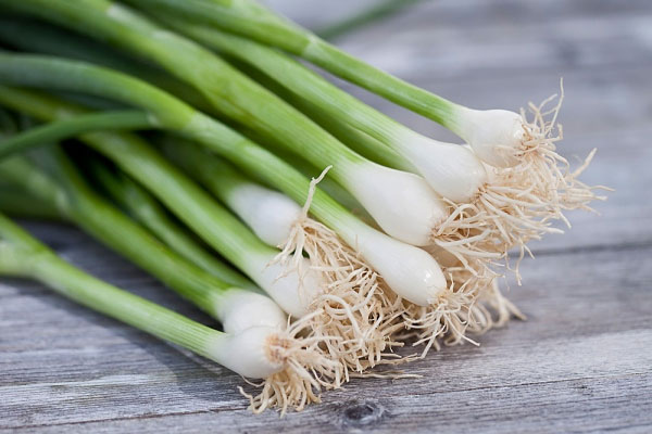 Làm món gà hấp hành hấp dẫn cả nhà