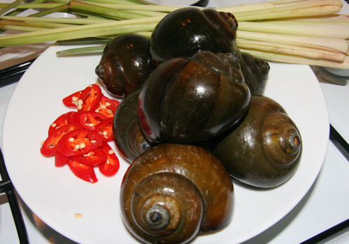 Làm món ốc bươu kho gừng