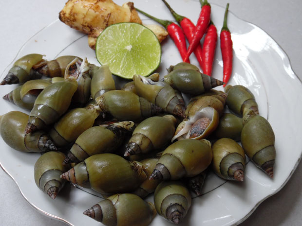 Làm ốc cà na rang muối đậm đà, lai rai cuối tuần