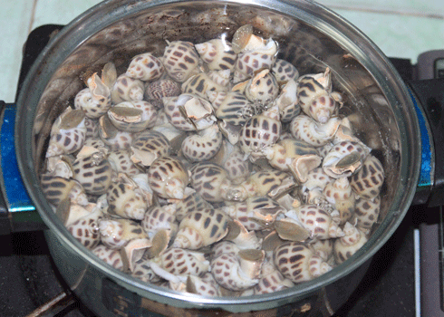 Làm ốc hương xào tỏi ớt ngon ngất ngây trời mây