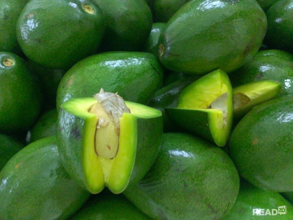 Làm sinh tố bơ không bị đắng