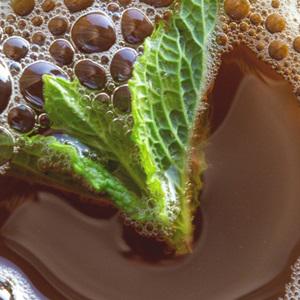 Cách làm trà bạc hà