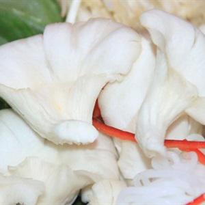 Cách làm lẩu cá thác lác khổ qua