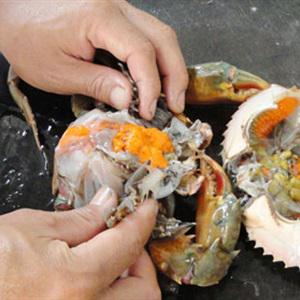 Cách làm lẩu cua chả cá