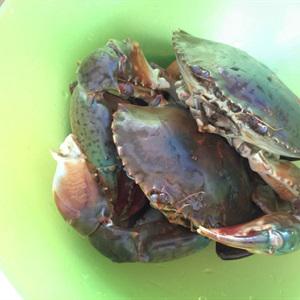 Cách nấu lẩu cua chua cay