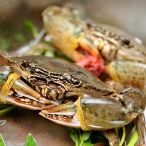 Cách làm lẩu cua Nam Bộ