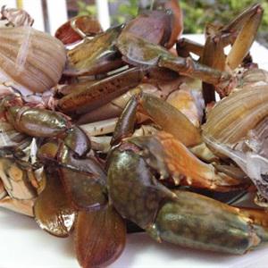 Cách nấu lẩu cua nấu mẻ