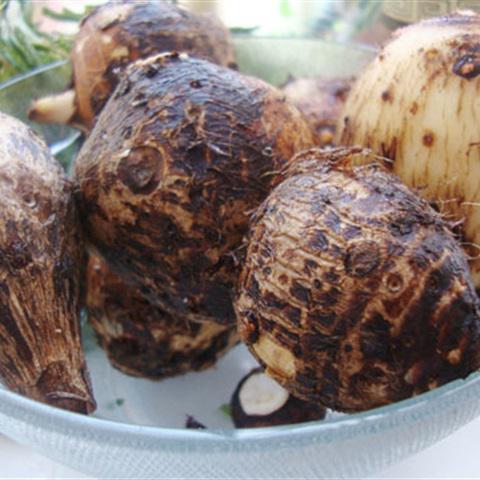 Cách làm lẩu đuôi bò