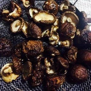 Cách làm lẩu ếch nấu măng