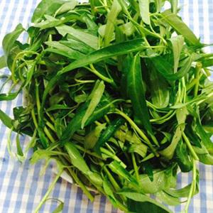 Cách làm lẩu ếch nấu măng