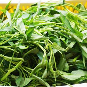 Cách nấu lẩu ếch