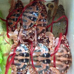 Cách làm lẩu ghẹ